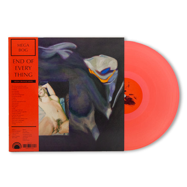 Mega Bog - End of everything (LP) - Discords.nl
