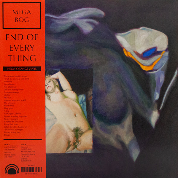 Mega Bog - End of everything (LP) - Discords.nl