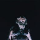 Nothing - Great dismal (LP) - Discords.nl