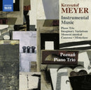 Various Artists - Krzysztof meyer: instrumental music (CD)
