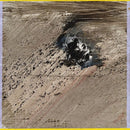 Mind Maintenance - Mind maintenance (LP) - Discords.nl