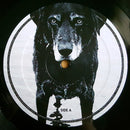 Seasick Steve - You Can't Teach An Old Dog New Tricks (LP Tweedehands)