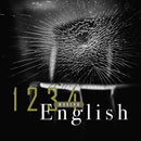 Modern English - 1 2 3 4 (CD) - Discords.nl