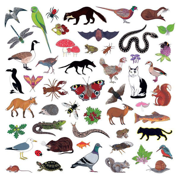 Modern Nature - Island of noise (LP) - Discords.nl