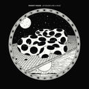 Modest Mouse - An eraser and a maze (LP)