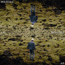 Molecule - A:r (LP)