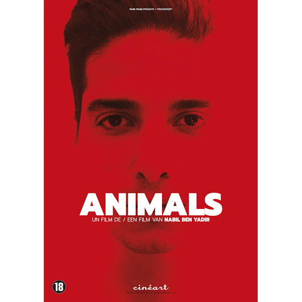 Movie - Animals (DVD Music) - Discords.nl