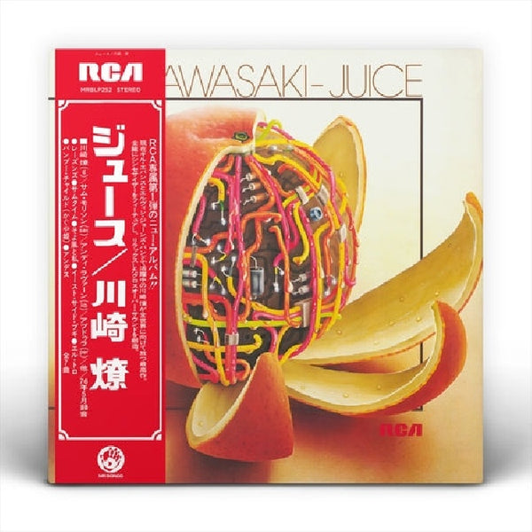 Ryo Kawasaki - Juice (LP) - Discords.nl