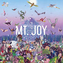 Mt. Joy - Rearrange us (CD) - Discords.nl