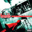 Murderdolls - Beyond the valley of the murderdolls (LP)