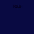 Pole - Pole1 (LP) - Discords.nl