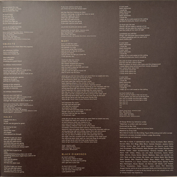 Big Thief - Capacity (LP) - Discords.nl