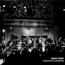 Nada Surf - Peaceful ghosts (LP) - Discords.nl