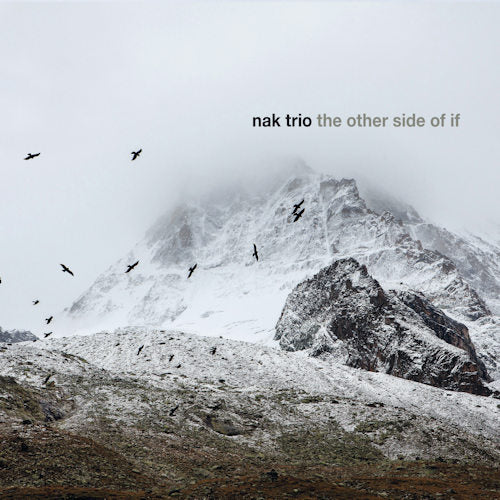 Nak Trio - Other side of if (CD) - Discords.nl