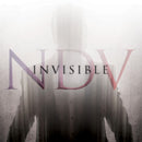 Nick D'virgilio - Invisible (CD) - Discords.nl