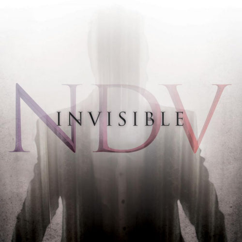 Nick D'virgilio - Invisible (CD) - Discords.nl