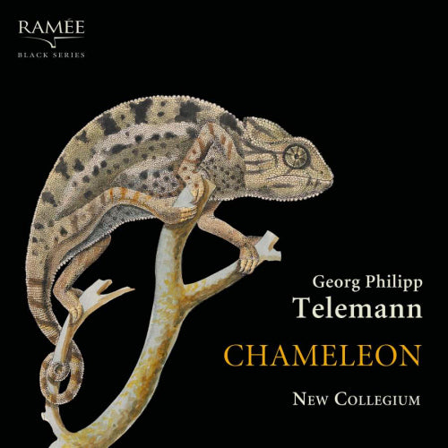 G.p. Telemann - Chameleon (CD) - Discords.nl