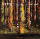 Nits, The - Soap Bubble Box - 35 Years Nits (CD Tweedehands) - Discords.nl