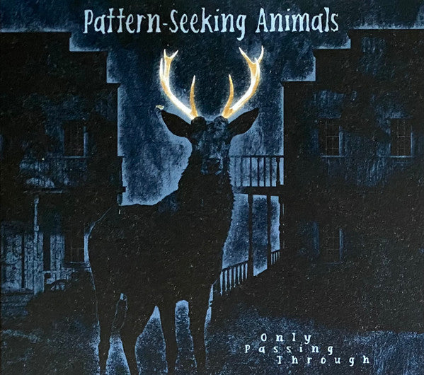 Pattern-Seeking Animals - Only Passing Through (CD)