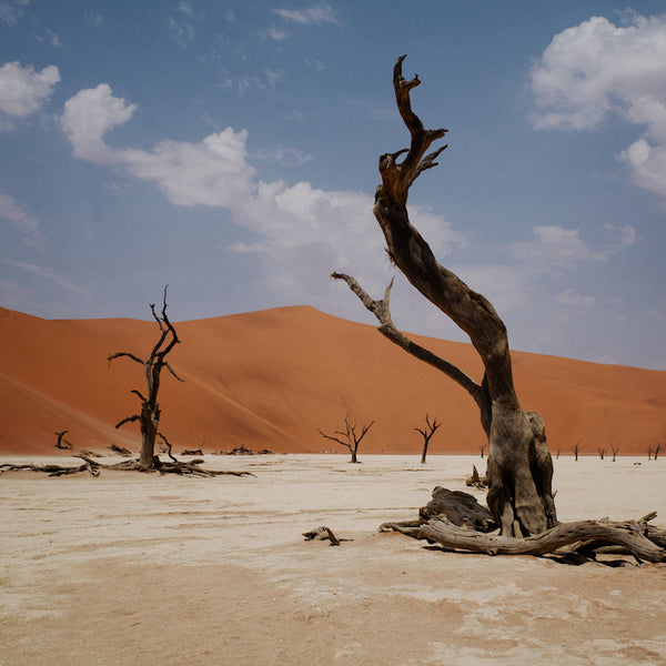 Nyos - Growl (LP) - Discords.nl