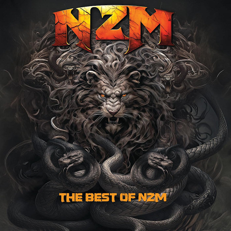 Nzm - The best of nzm (LP) - Discords.nl