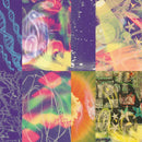 Nap Eyes - The neon gate (CD) - Discords.nl