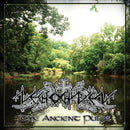 Nechochwen - Ancient pulse (CD)