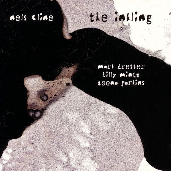 Nels Cline - Inkling (CD) - Discords.nl