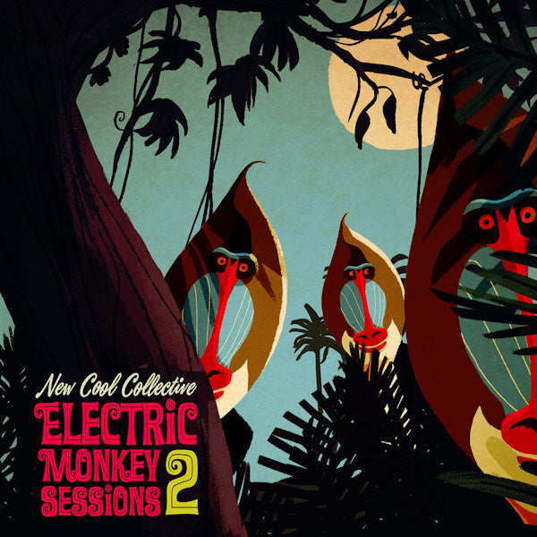 New Cool Collective - Electric monkey sessions 2 (CD) - Discords.nl