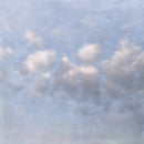 Newmoon - Temporary light (LP) - Discords.nl