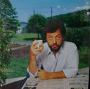 Billy Joel - The Nylon Curtain (LP Tweedehands)