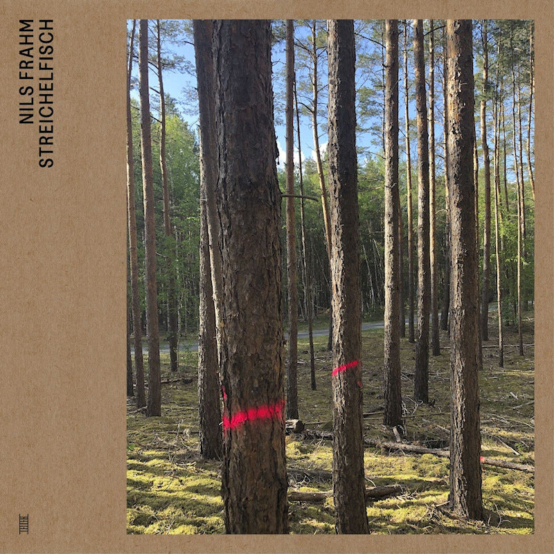 Nils Frahm - Streichelfisch (LP) - Discords.nl