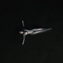 Noah Cyrus - I want my loved ones to go with me (CD)