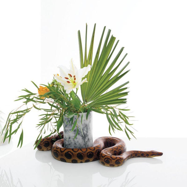 Noah Gundersen - White noise (CD) - Discords.nl