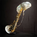 Sam Gendel - Cookup (LP) - Discords.nl