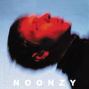 Noonzy - Plan is bad (LP)