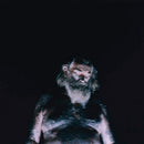 Nothing (12) - The Great Dismal (LP) - Discords.nl