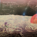 Magdalena Bay - Mercurial World  (LP) - Discords.nl