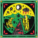 Nubiyan Twist - Chasing shadows (LP)