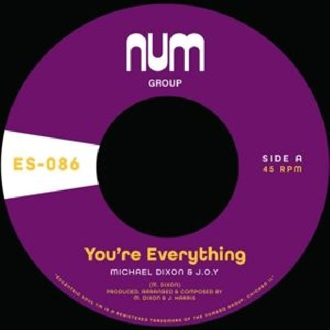 Michael A. Dixon & J.o.y - 7-you're everything (12-inch)