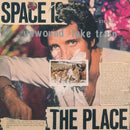 Unwound - Fake train (LP) - Discords.nl