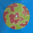 This Is Lorelei - Box for Buddy, Box for Star (LP) - Discords.nl