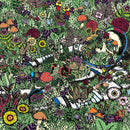 Oozing Wound - Whatever forever (LP) - Discords.nl