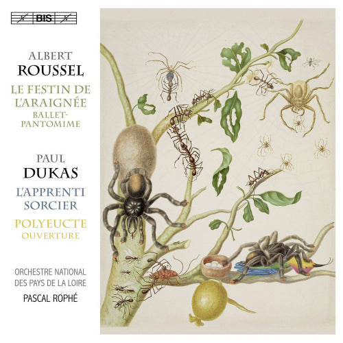 Roussel/dukas - Spider's feast/sorcerer's apprentice (CD) - Discords.nl