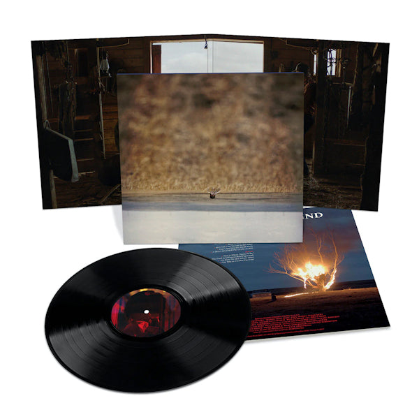 Jim O'rourke - Hands that bind (LP) - Discords.nl