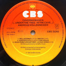 Andreas Vollenweider - Caverna Magica (...Under The Tree - In The Cave...) (LP Tweedehands)