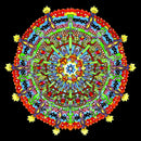 Of Montreal - Hissing fauna, are you the destroyer? (LP) - Discords.nl