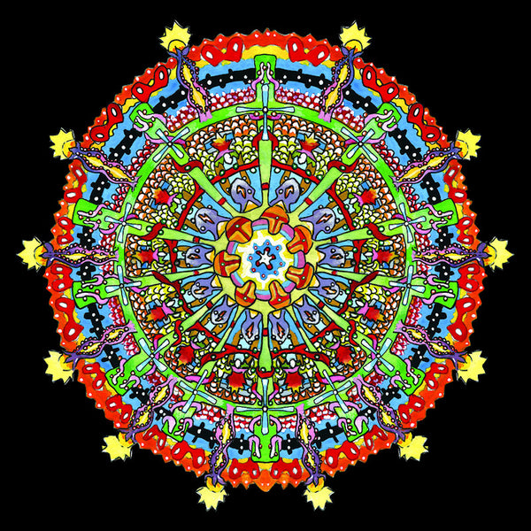 Of Montreal - Hissing fauna, are you the destroyer? (LP) - Discords.nl