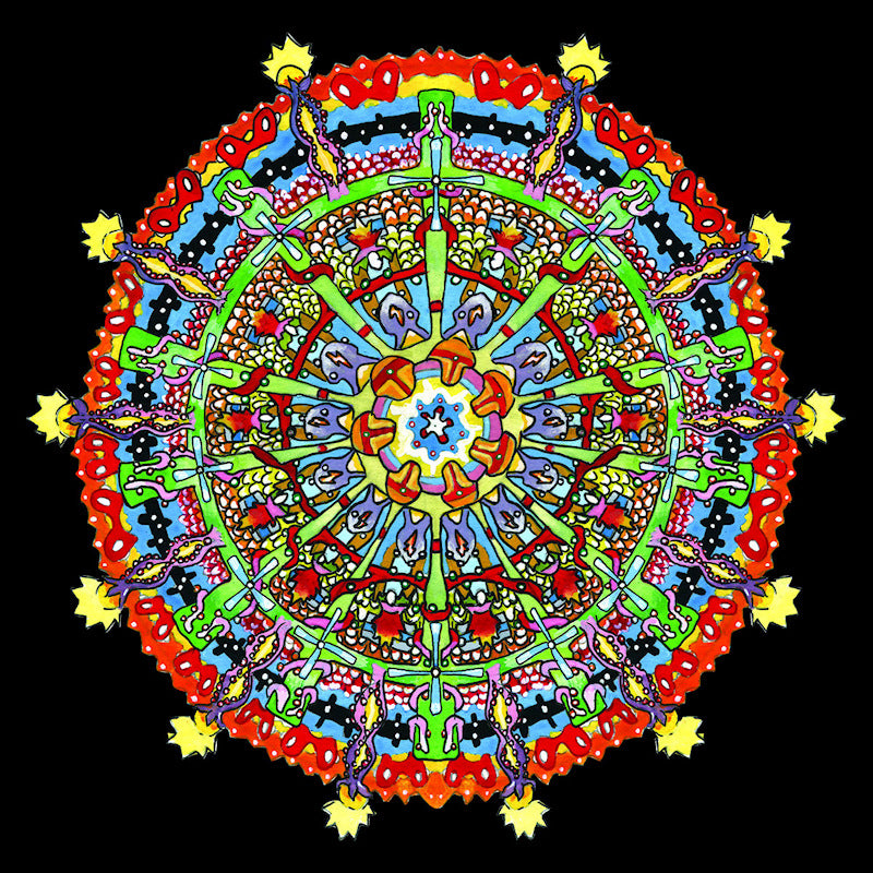 Of Montreal - Hissing fauna, are you the destroyer? (LP) - Discords.nl