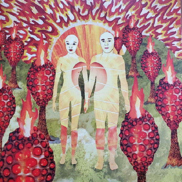 Of Montreal - The sunlandic twins (red/orange swirl vinyl) (LP) - Discords.nl